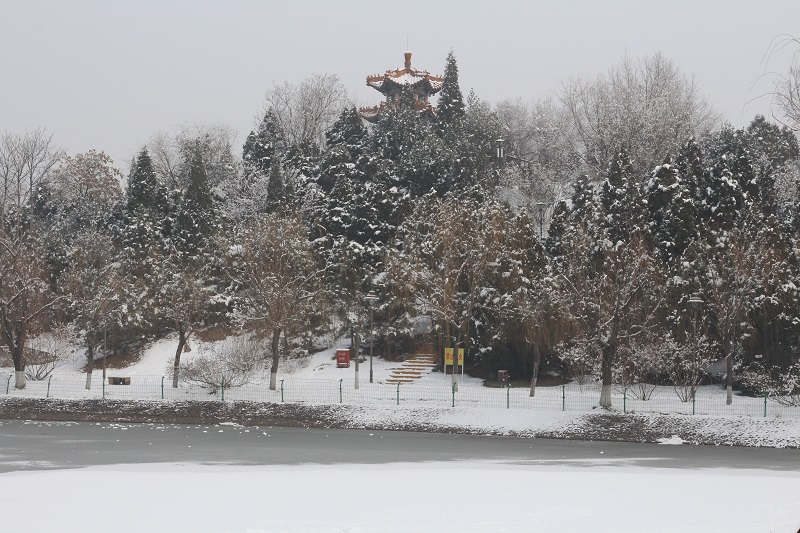 白雪皑皑怡秀山.jpg